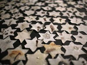 MP David Ward blamed "the Jews" for inflicting horrors on the Palestinians.